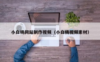滨州小白杨网站制作视频（小白杨视频素材）